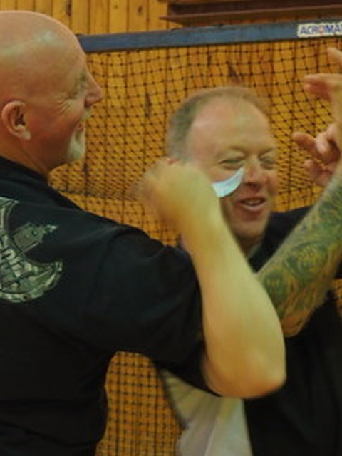 Arm lock and knife training.